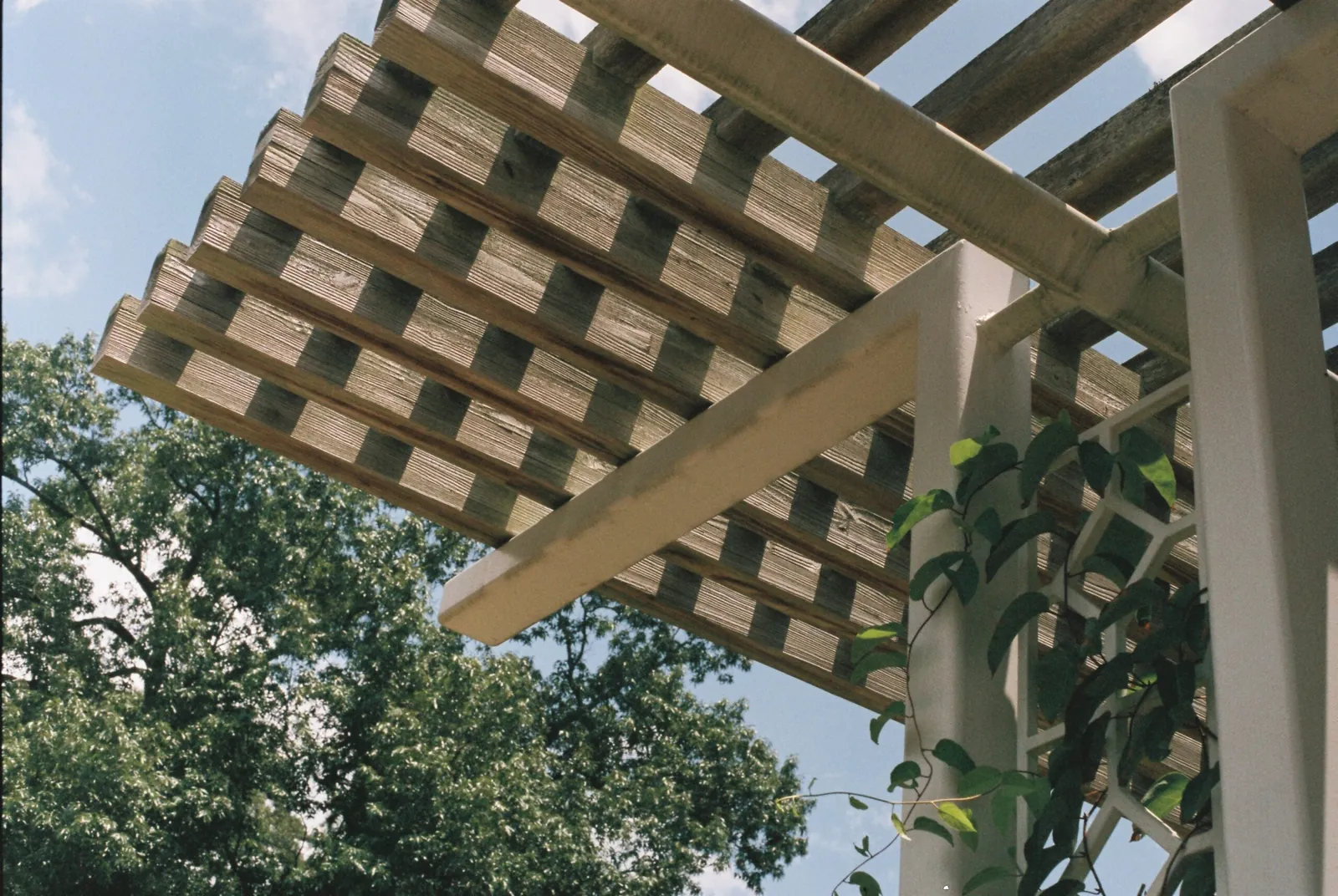 Pergola aus Holz über einer Terrasse